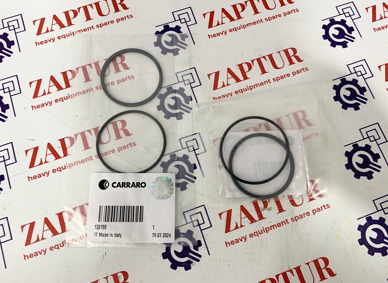 CARRARO 139198 SEAL KIT [ZAPTUR]