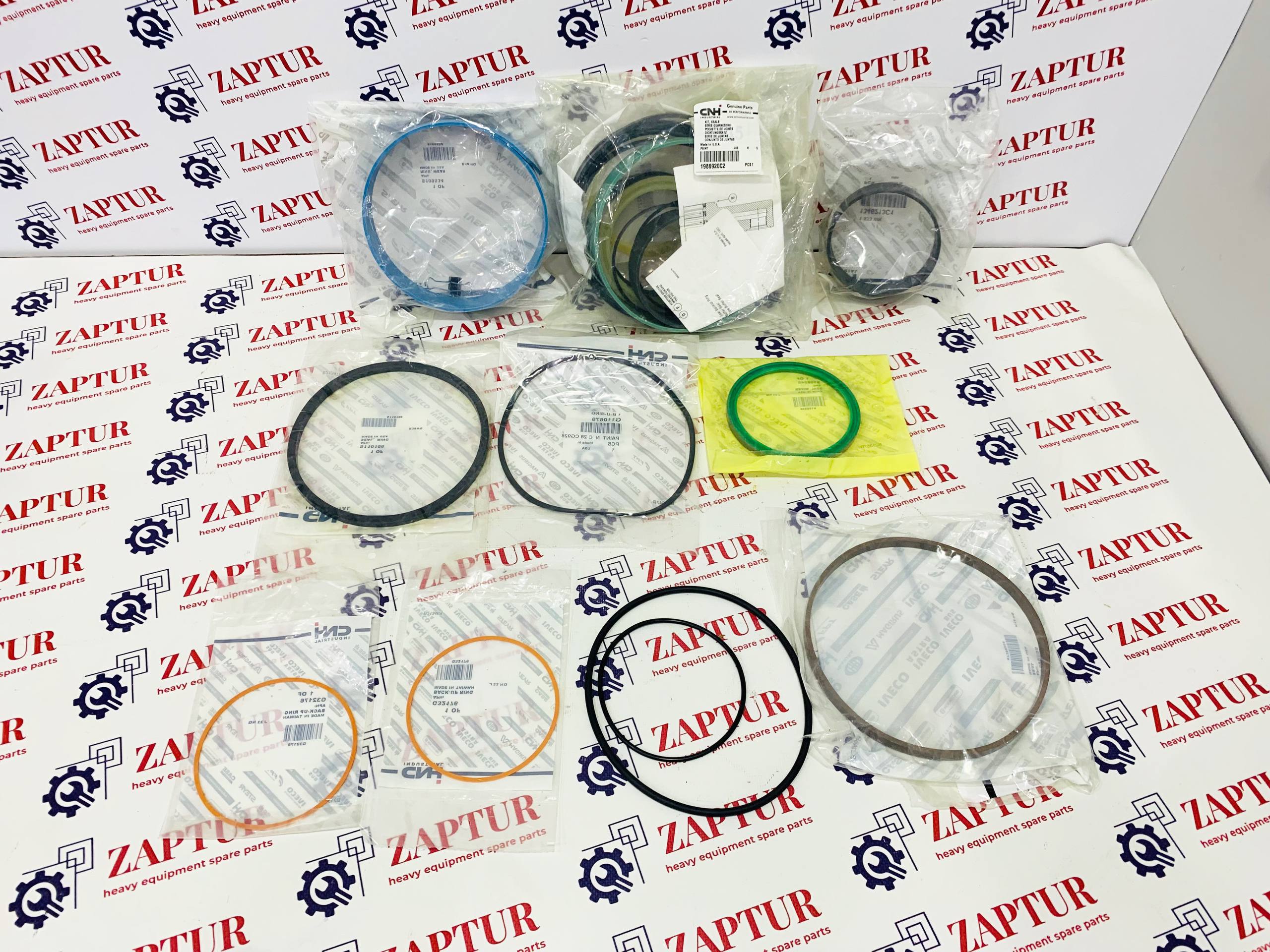 CNH 87399338 SEAL KIT