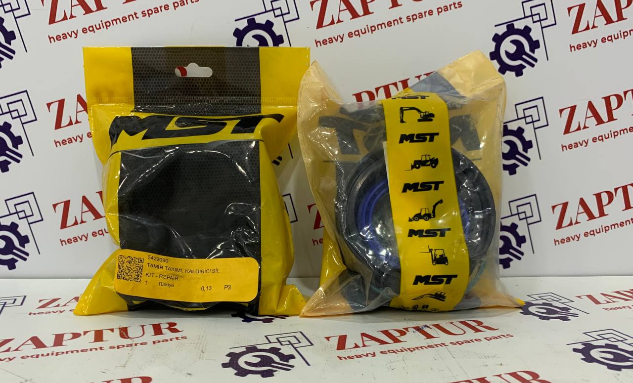 MST 5422090 SEAL KIT [ZAPTUR]