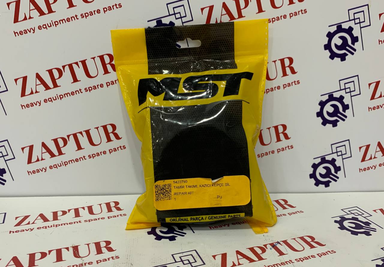 MST 5422790 SEAL KIT [ZAPTUR]