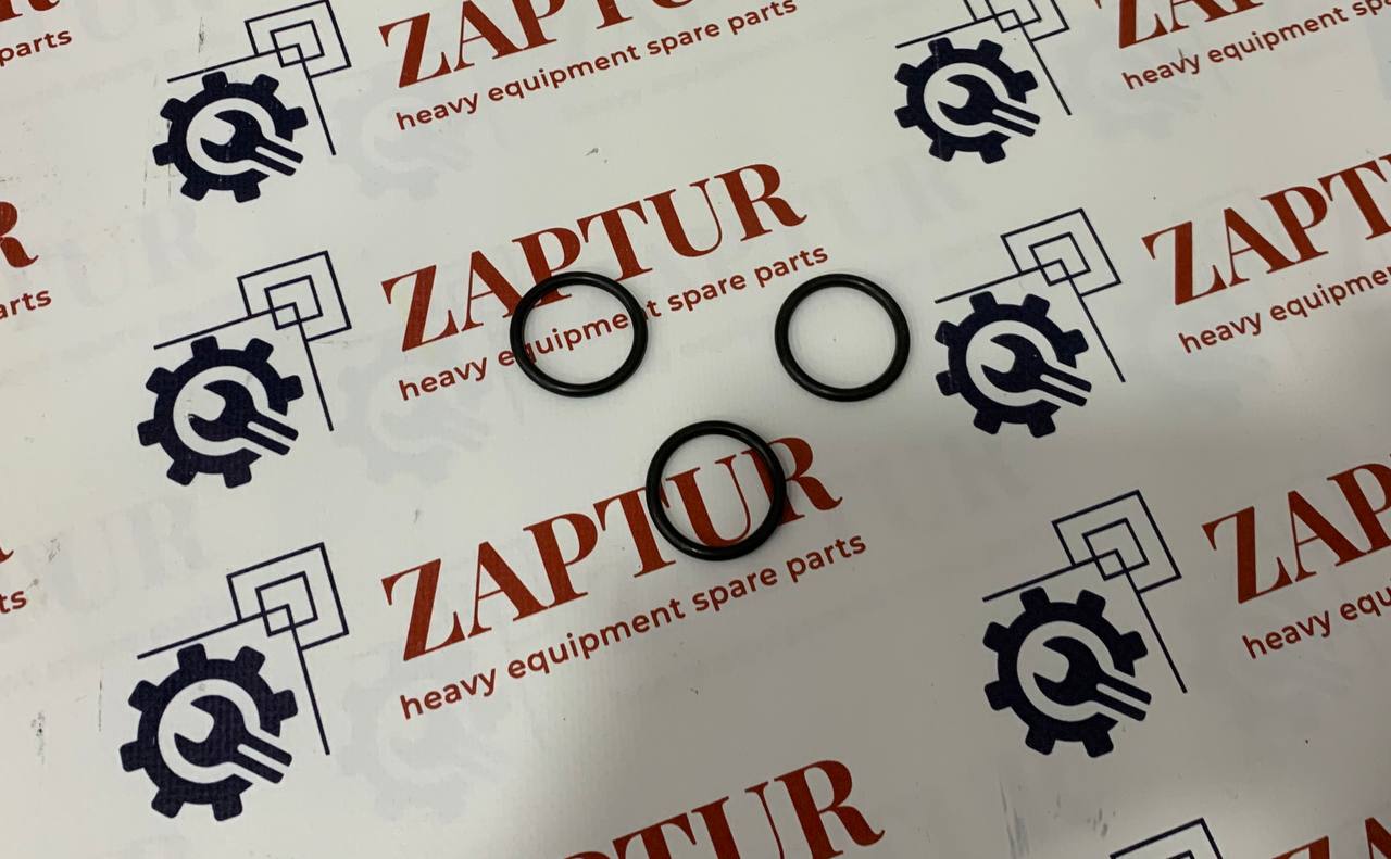 VOLVO 14574556 O-RING [ZAPTUR]