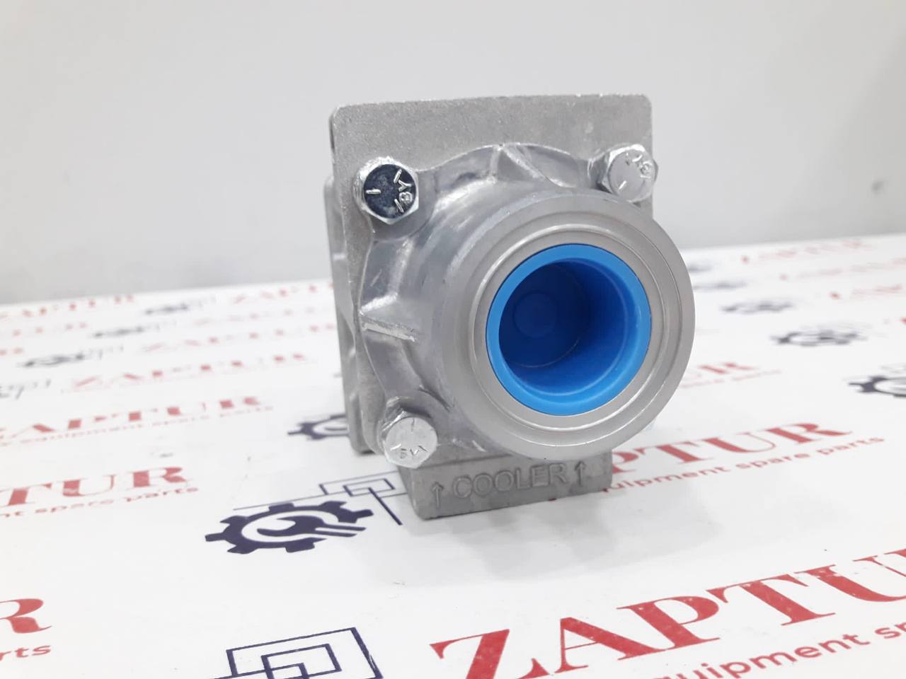 CASE 87326981 BY PASS VALVE [ZAPTUR]