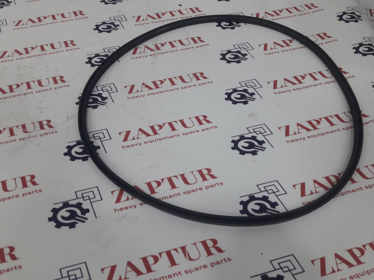 ZF 0734.317.377 O-RING